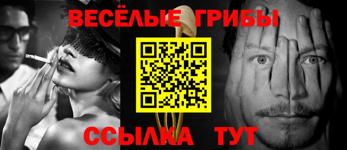Новокуйбышевск  дарнет шоп  Вход с VPN  Галлюциногенные грибы ЛСД  Псилоцибиновые грибы мицелий 